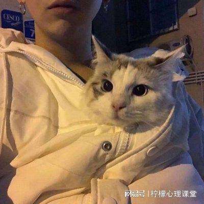 海贼王寻宝之旅3周年版下载